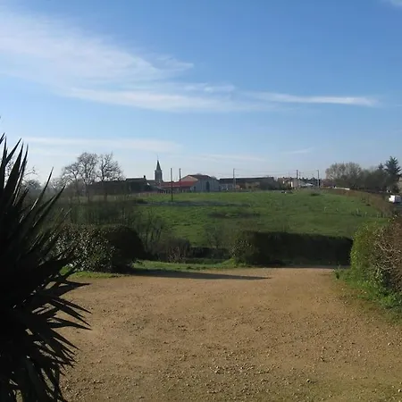 Cerisier *